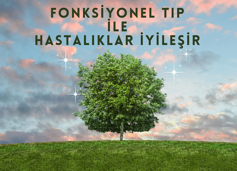 Fonksiyonel Tıp